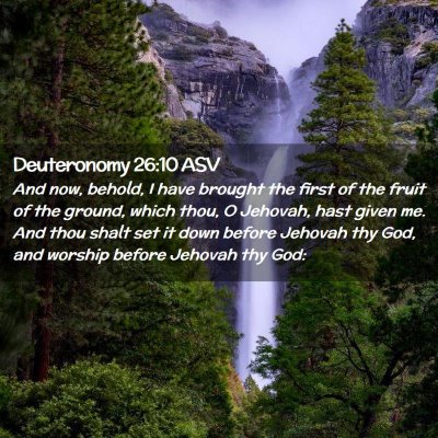 Picture 02 - Deuteronomy 26:10 ASV - And now, behold, I have brought the first of the - Bible Verse Picture