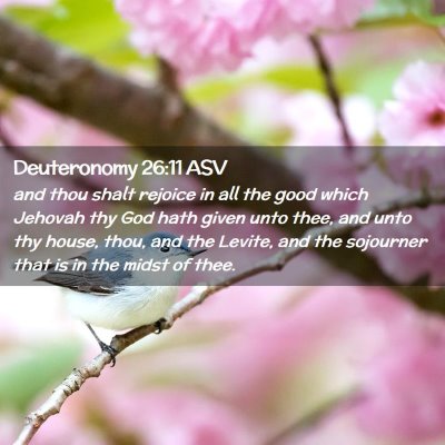 Picture 02 - Deuteronomy 26:11 ASV - and thou shalt rejoice in all the good which - Bible Verse Picture