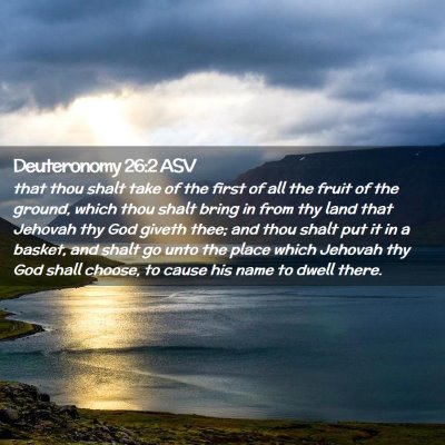 Picture 02 - Deuteronomy 26:2 ASV - that thou shalt take of the first of all the - Bible Verse Picture