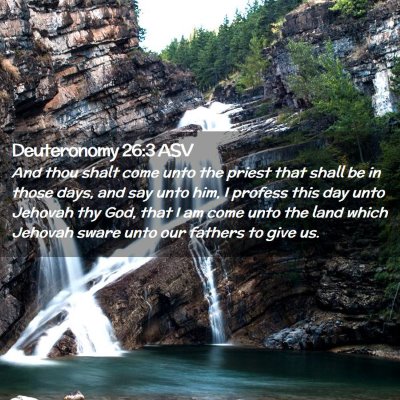 Picture 02 - Deuteronomy 26:3 ASV - And thou shalt come unto the priest that shall be - Bible Verse Picture