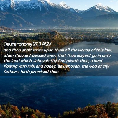 Picture 02 - Deuteronomy 27:3 ASV - and thou shalt write upon them all the words of - Bible Verse Picture