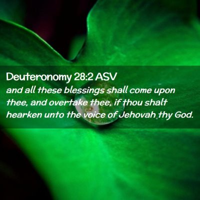 Picture 02 - Deuteronomy 28:2 ASV - and all these blessings shall come upon thee, and - Bible Verse Picture