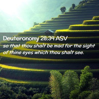 Picture 02 - Deuteronomy 28:34 ASV - so that thou shalt be mad for the sight of thine - Bible Verse Picture