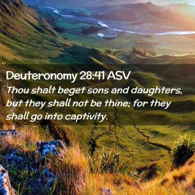 Picture 02 - Deuteronomy 28:41 ASV - Thou shalt beget sons and daughters, but they - Bible Verse Picture