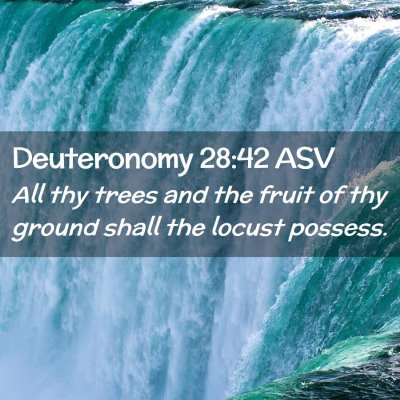 Picture 02 - Deuteronomy 28:42 ASV - All thy trees and the fruit of thy ground shall - Bible Verse Picture