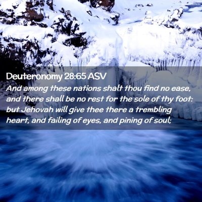 Picture 02 - Deuteronomy 28:65 ASV - And among these nations shalt thou find no ease, - Bible Verse Picture