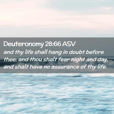 Picture 02 - Deuteronomy 28:66 ASV - and thy life shall hang in doubt before thee; and - Bible Verse Picture