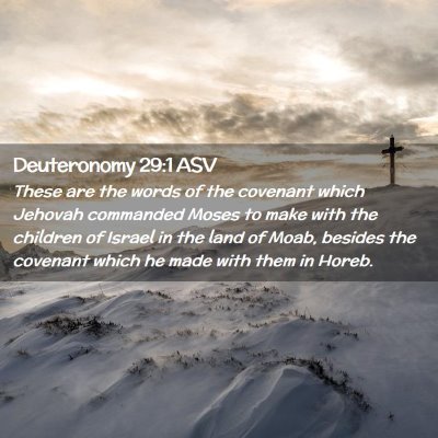 Picture 02 - Deuteronomy 29:1 ASV - These are the words of the covenant which Jehovah - Bible Verse Picture