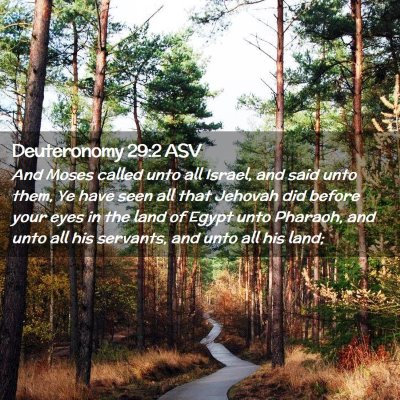 Picture 02 - Deuteronomy 29:2 ASV - And Moses called unto all Israel, and said unto - Bible Verse Picture