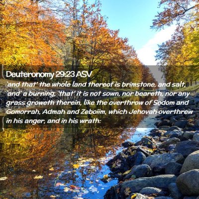 Picture 02 - Deuteronomy 29:23 ASV - `and that' the whole land thereof is brimstone, - Bible Verse Picture
