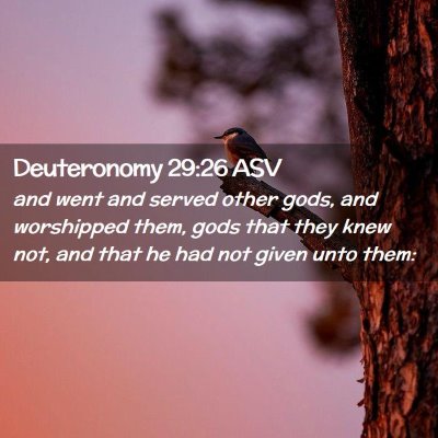 Picture 02 - Deuteronomy 29:26 ASV - and went and served other gods, and worshipped - Bible Verse Picture