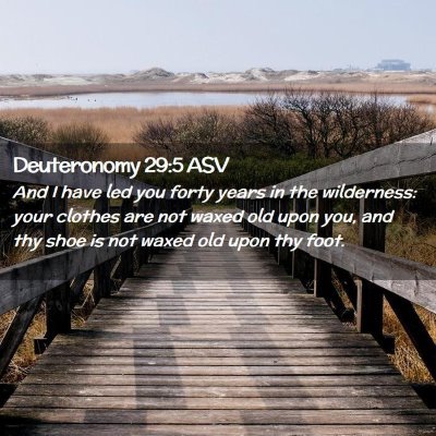 Picture 02 - Deuteronomy 29:5 ASV - And I have led you forty years in the wilderness: - Bible Verse Picture