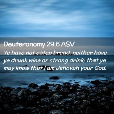 Picture 02 - Deuteronomy 29:6 ASV - Ye have not eaten bread, neither have ye drunk - Bible Verse Picture