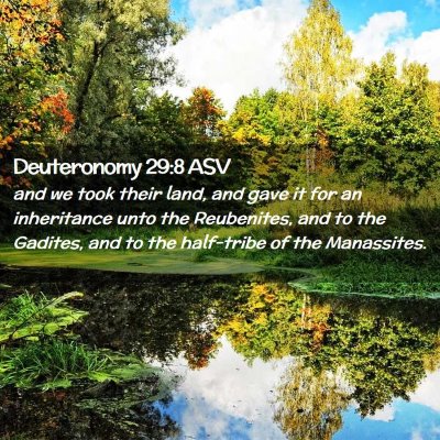 Picture 02 - Deuteronomy 29:8 ASV - and we took their land, and gave it for an - Bible Verse Picture