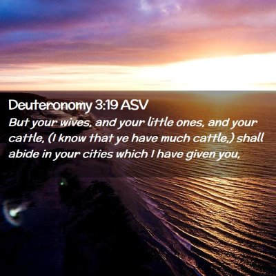 Picture 02 - Deuteronomy 3:19 ASV - But your wives, and your little ones, and your - Bible Verse Picture