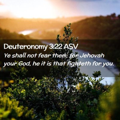Picture 02 - Deuteronomy 3:22 ASV - Ye shall not fear them; for Jehovah your God, he - Bible Verse Picture