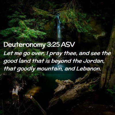 Picture 02 - Deuteronomy 3:25 ASV - Let me go over, I pray thee, and see the good - Bible Verse Picture