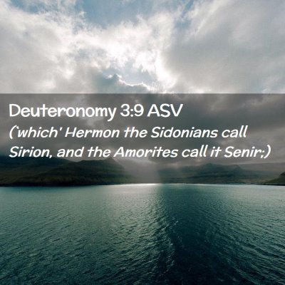 Picture 02 - Deuteronomy 3:9 ASV - (`which' Hermon the Sidonians call Sirion, and - Bible Verse Picture