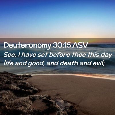 Picture 02 - Deuteronomy 30:15 ASV - See, I have set before thee this day life and - Bible Verse Picture