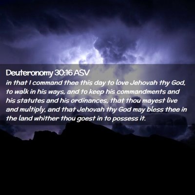 Picture 02 - Deuteronomy 30:16 ASV - in that I command thee this day to love Jehovah - Bible Verse Picture