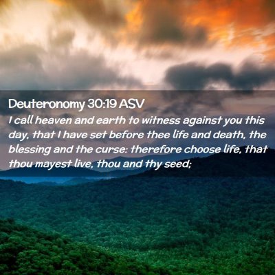 Picture 02 - Deuteronomy 30:19 ASV - I call heaven and earth to witness against you - Bible Verse Picture