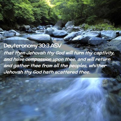 Picture 02 - Deuteronomy 30:3 ASV - that then Jehovah thy God will turn thy - Bible Verse Picture
