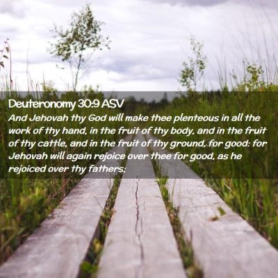Picture 02 - Deuteronomy 30:9 ASV - And Jehovah thy God will make thee plenteous in - Bible Verse Picture