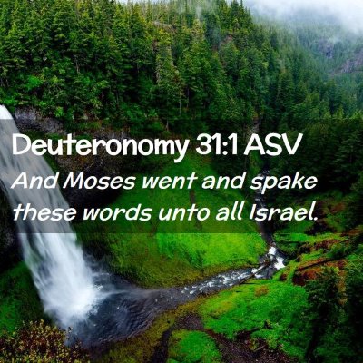 Picture 02 - Deuteronomy 31:1 ASV - And Moses went and spake these words unto all - Bible Verse Picture
