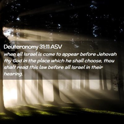 Picture 02 - Deuteronomy 31:11 ASV - when all Israel is come to appear before Jehovah - Bible Verse Picture