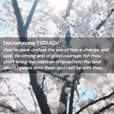 Picture 02 - Deuteronomy 31:23 ASV - And he gave Joshua the son of Nun a charge, and - Bible Verse Picture