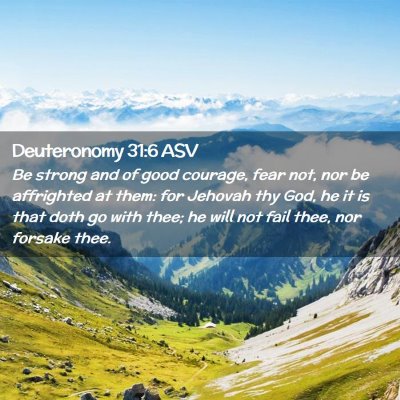 Picture 02 - Deuteronomy 31:6 ASV - Be strong and of good courage, fear not, nor be - Bible Verse Picture