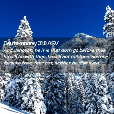 Picture 02 - Deuteronomy 31:8 ASV - And Jehovah, he it is that doth go before thee; - Bible Verse Picture
