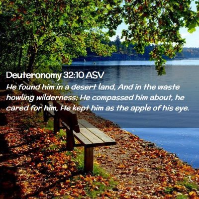 Picture 02 - Deuteronomy 32:10 ASV - He found him in a desert land, And in the waste - Bible Verse Picture