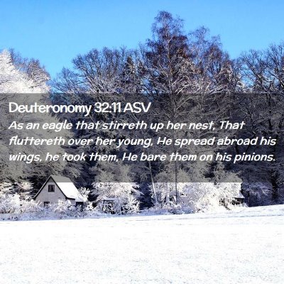 Picture 02 - Deuteronomy 32:11 ASV - As an eagle that stirreth up her nest, That - Bible Verse Picture
