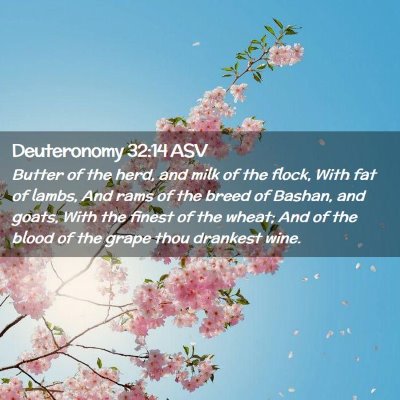 Picture 02 - Deuteronomy 32:14 ASV - Butter of the herd, and milk of the flock, With - Bible Verse Picture