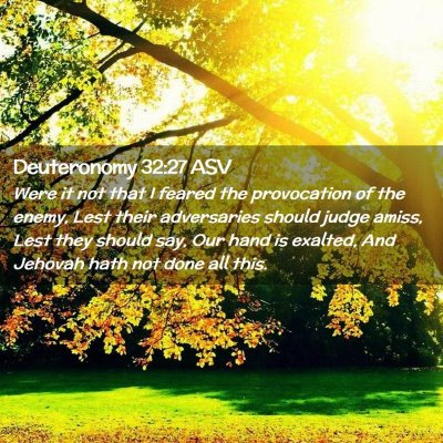 Picture 02 - Deuteronomy 32:27 ASV - Were it not that I feared the provocation of the - Bible Verse Picture