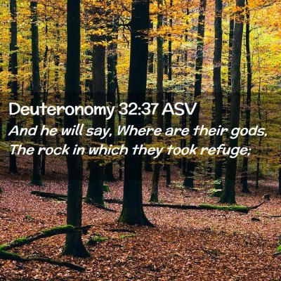Picture 02 - Deuteronomy 32:37 ASV - And he will say, Where are their gods, The rock - Bible Verse Picture