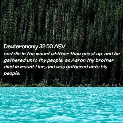 Picture 02 - Deuteronomy 32:50 ASV - and die in the mount whither thou goest up, and - Bible Verse Picture