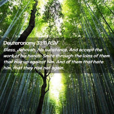 Picture 02 - Deuteronomy 33:11 ASV - Bless, Jehovah, his substance, And accept the - Bible Verse Picture