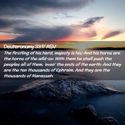 Picture 02 - Deuteronomy 33:17 ASV - The firstling of his herd, majesty is his; And - Bible Verse Picture