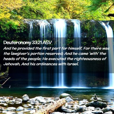 Picture 02 - Deuteronomy 33:21 ASV - And he provided the first part for himself, For - Bible Verse Picture