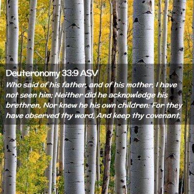 Picture 02 - Deuteronomy 33:9 ASV - Who said of his father, and of his mother, I have - Bible Verse Picture