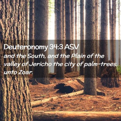 Picture 02 - Deuteronomy 34:3 ASV - and the South, and the Plain of the valley of - Bible Verse Picture