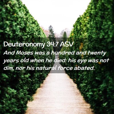 Picture 02 - Deuteronomy 34:7 ASV - And Moses was a hundred and twenty years old when - Bible Verse Picture