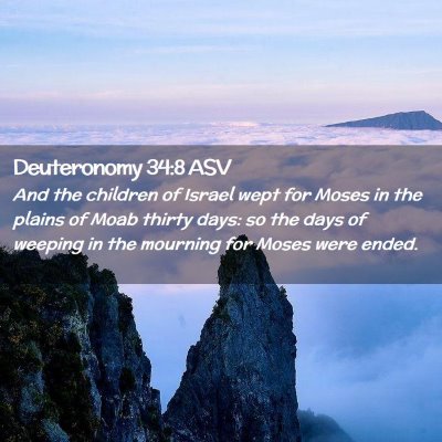 Picture 02 - Deuteronomy 34:8 ASV - And the children of Israel wept for Moses in the - Bible Verse Picture