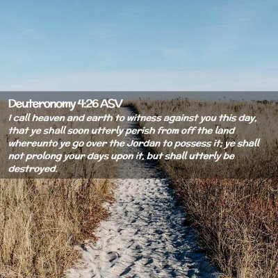 Picture 02 - Deuteronomy 4:26 ASV - I call heaven and earth to witness against you - Bible Verse Picture