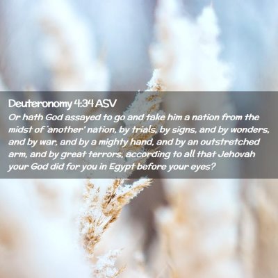 Picture 02 - Deuteronomy 4:34 ASV - Or hath God assayed to go and take him a nation - Bible Verse Picture