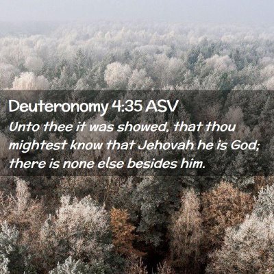 Picture 02 - Deuteronomy 4:35 ASV - Unto thee it was showed, that thou mightest know - Bible Verse Picture