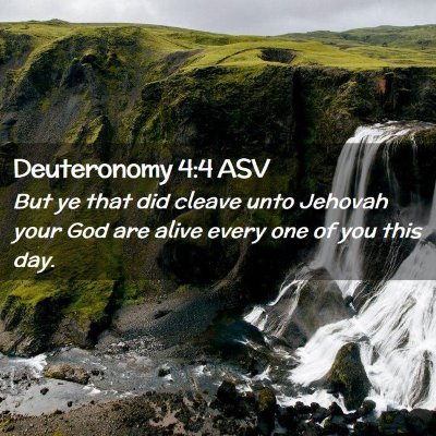 Picture 02 - Deuteronomy 4:4 ASV - But ye that did cleave unto Jehovah your God are - Bible Verse Picture