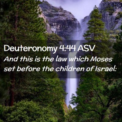 Picture 02 - Deuteronomy 4:44 ASV - And this is the law which Moses set before the - Bible Verse Picture